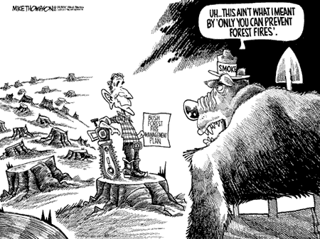 cartoon