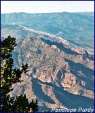 Roadless Area in Colorado
