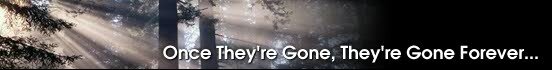 Once They're Gone, They're Gone Forever