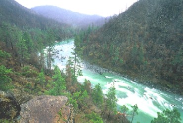 Photo of Siskiyou National Forest