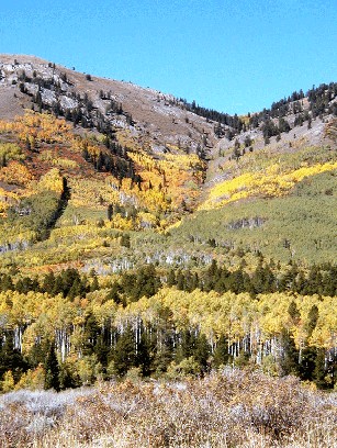 Photo of The Sage Creek Roadless Area of Idahoís Caribou-Targhee National Forest